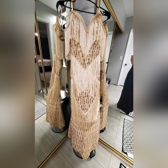 Elegant Beige Fringe Gown - Picture 4 of 11